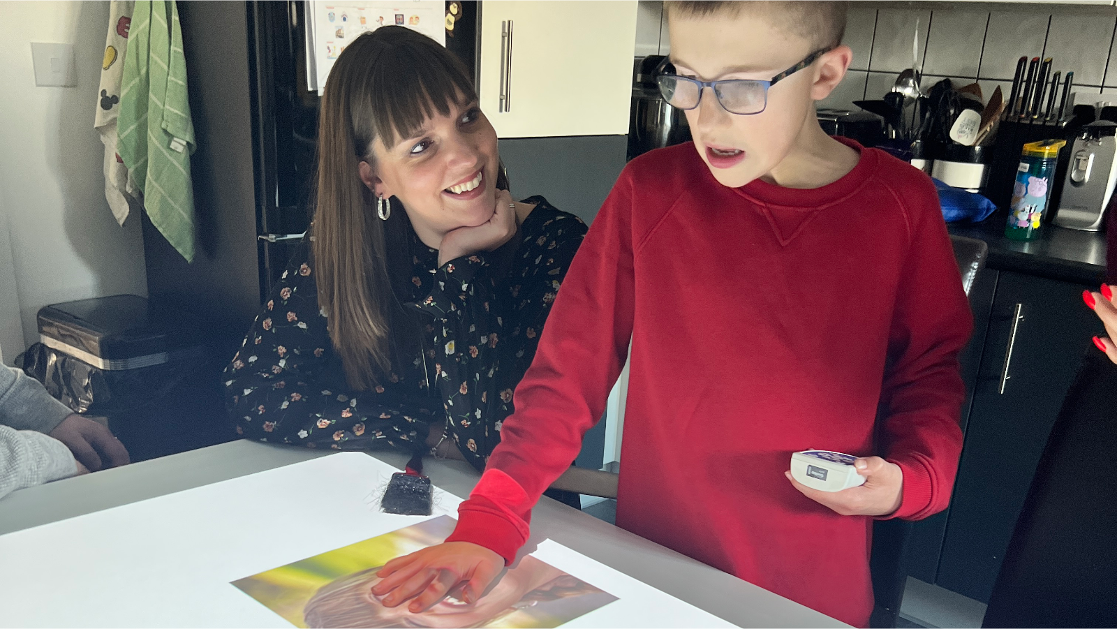 Home use interactive activity